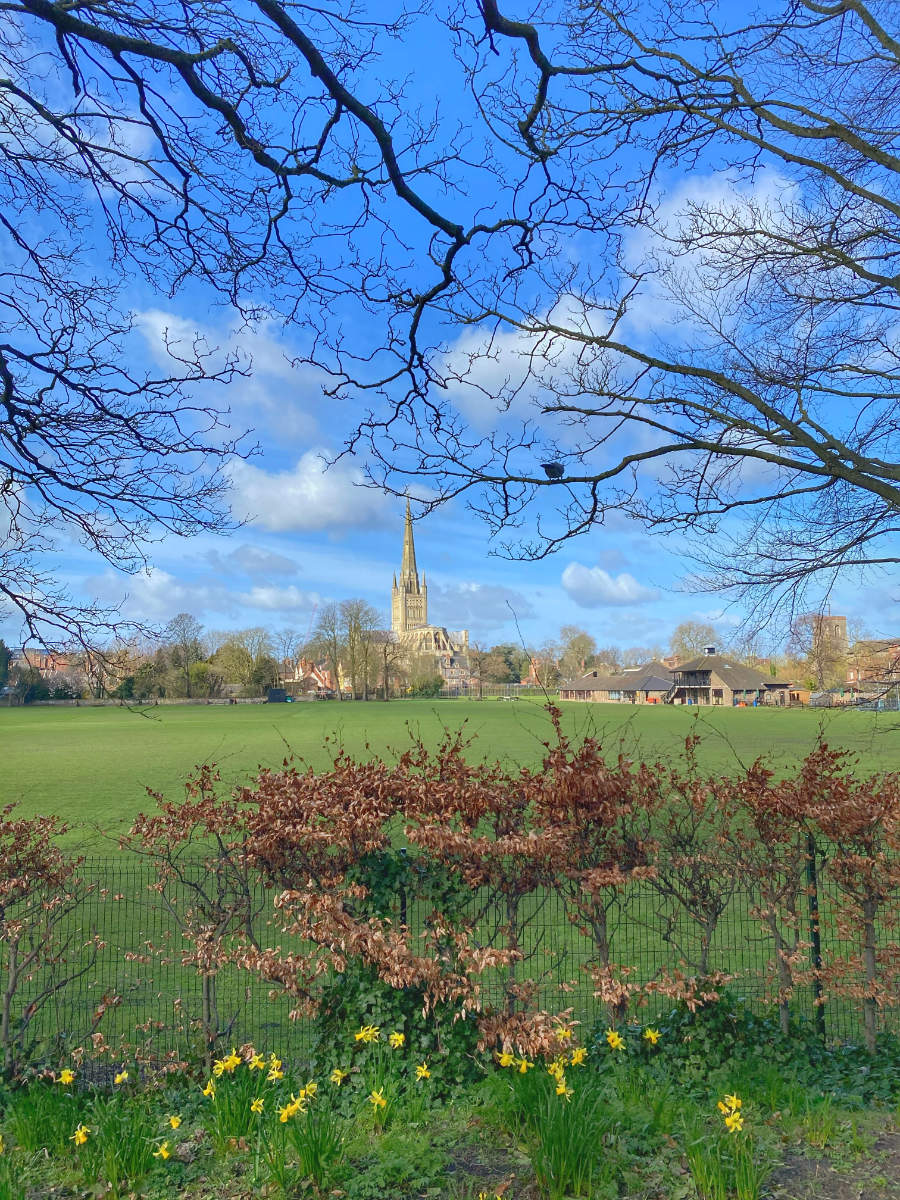 1 Hour Walks – Norwich Photo-Therapy